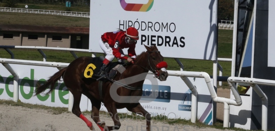 Viernes 20 de agosto de 2021 - Hipódromo Las Piedras