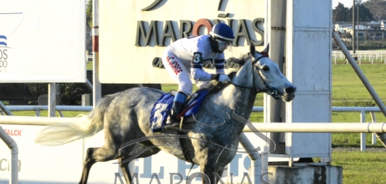 Domingo 22 de agosto de 2021 - Hipódromo Nacional de Maroñas