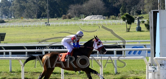 Domingo 29 de agosto de 2021 - Hipódromo Nacional de Maroñas