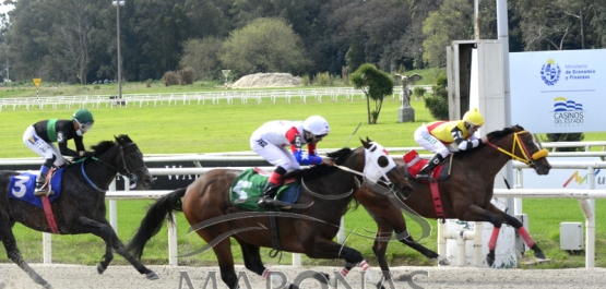 Domingo 12 de setiembre de 2021 - Hipódromo Nacional de Maroñas