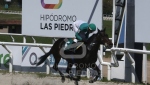 Viernes 17 de setiembre de 2021 - Hipódromo de Las Piedras