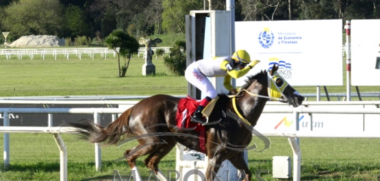 Domingo 26 de setiembre de 2021 - Hipódromo Nacional de Maroñas