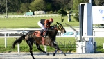 Domingo 26 de setiembre de 2021 - Hipódromo Nacional de Maroñas