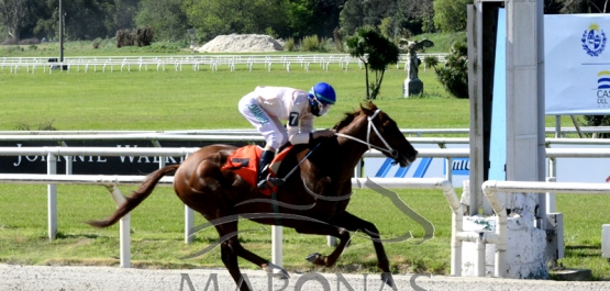 Domingo 3 de octubre de 2021 - Hipódromo Nacional de Maroñas