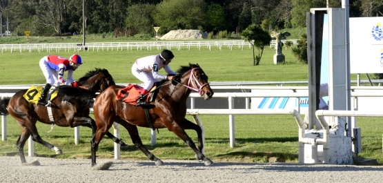 GRAN PREMIO JOCKEY CLUB