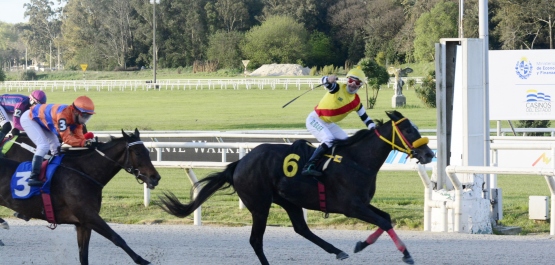 GRAN PREMIO SELECCIÓN