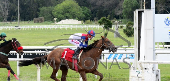 Domingo 10 de octubre de 2021 - Hipódromo Nacional de Maroñas