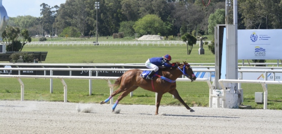 HANDICAP ESPECIAL ADOLFO ARTAGAVEYTIA