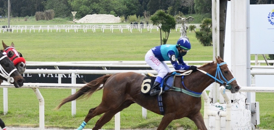 CLÁSICO JORGE Y MELCHOR PACHECO