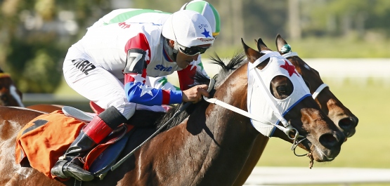 CLÁSICO CHILE - COPA DIRECCIÓN GENERAL DE CASINOS