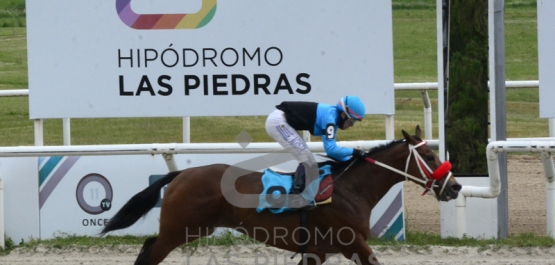 Sábado 23 de octubre de 2021 - Hipódromo Las Piedras