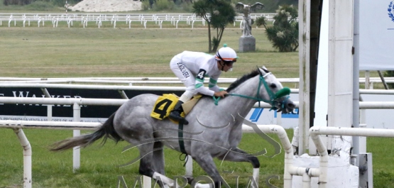 Domingo 31 de octubre de 2021 - Hipódromo Nacional de Maroñas