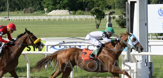 Sábado 6 de noviembre de 2021 - Hipódromo Nacional de Maroñas