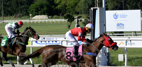 Domingo 7 de noviembre de 2021 - Hipódromo Nacional de Maroñas