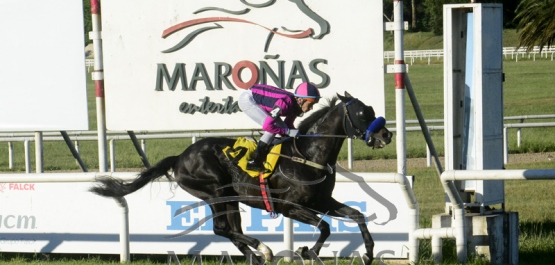 Domingo 14 de noviembre de 2021 - Hipódromo Nacional de Maroñas