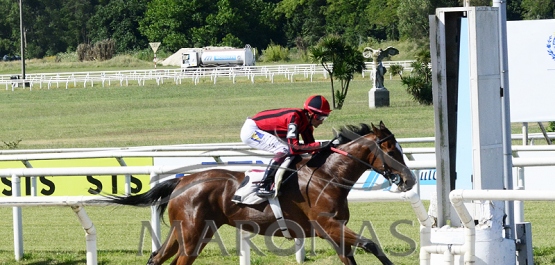 Sábado 20 de noviembre de 2021 - Hipódromo Nacional de Maroñas