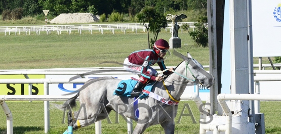 Domingo 21 noviembre de 2021 - Hipódromo Nacional de Maroñas