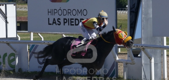 Viernes 26 de noviembre de 2021 - Hipódromo Las Piedras