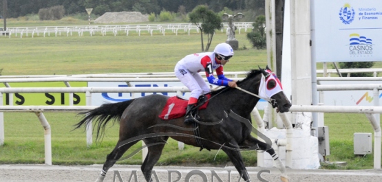 Domingo 28 de noviembre de 2021 - Hipódromo Nacional de Maroñas