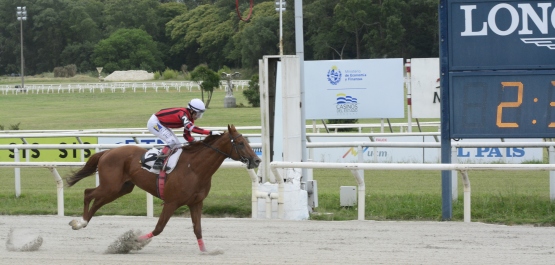 GRAN PREMIO COMPARACIÓN