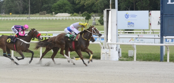 GRAN PREMIO ESTÍMULO