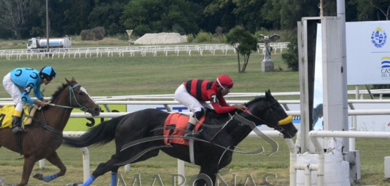 Sábado 11 de diciembre de 2021 - Hipódromo Nacional de Maroñas