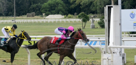 Domingo 12 de diciembre de 2021 - Hipódromo Nacional de Maroñas