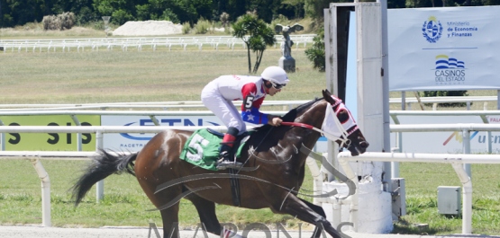 Domingo 26 de diciembre de 2021 - Hipódromo Nacional de Maroñas