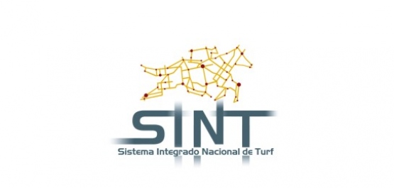 Calendario de actividad SINT 2022