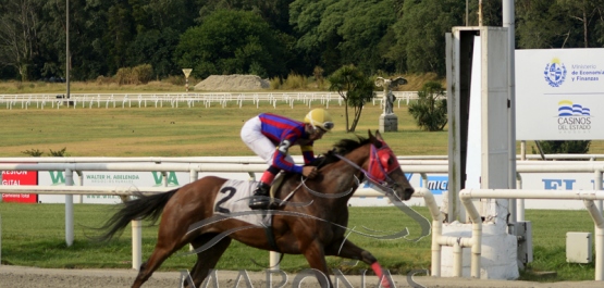 Sábado 15 de enero de 2022 - Hipódromo Nacional de Maroñas