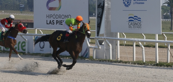 GRAN PREMIO POLLA DE POTRANCAS