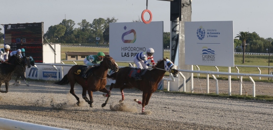 GRAN PREMIO POLLA DE POTRILLOS