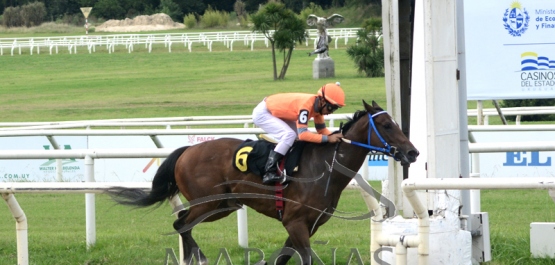 Domingo 23 de enero de 2022 - Hipódromo Nacional de Maroñas