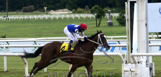 Sábado 5 de febrero de 2022 - Hipódromo Nacional de Maroñas