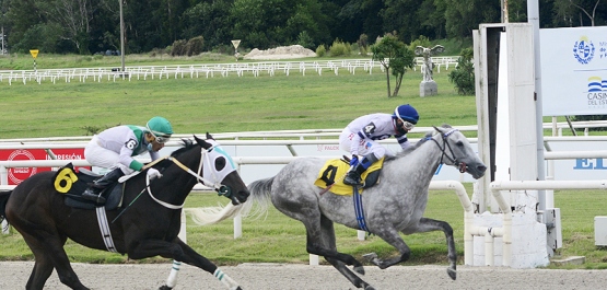 CLÁSICO LOS HARAS