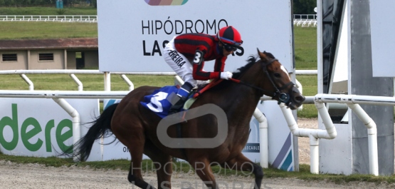 Viernes 11 de febrero de 2022 - Hipódromo Las Piedras