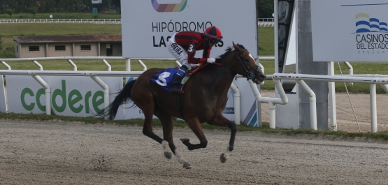 CLÁSICO GRAN PREMIO SELECCIÓN