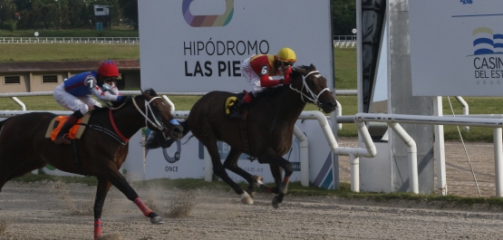 CLÁSICO GRAN PREMIO JOCKEY CLUB