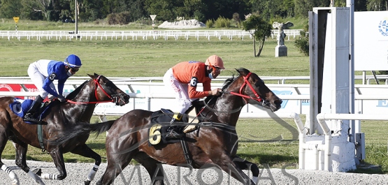 Sábado 19 de febrero de 2022 - Hipódromo Nacional de Maroñas