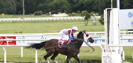 Domingo 20 de febrero de 2022 - Hipódromo Nacional de Maroñas