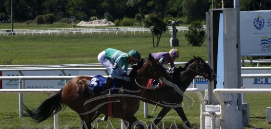 Viernes 25 de febrero de 2022 - Hipódromo Nacional de Maroñas