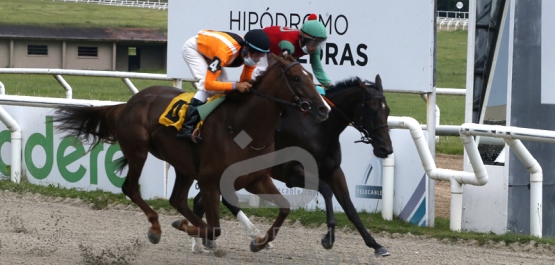 Sábado 26 de febrero de 2022 - Hipódromo Las Piedras