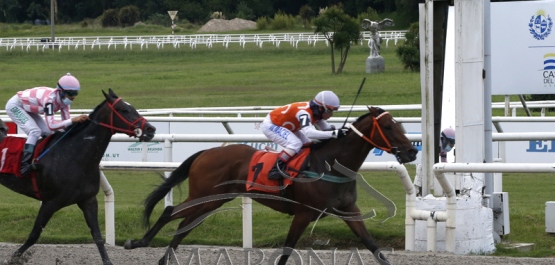 Domindo 27 de febrero de 2022 - Hipódromo Nacional de Maroñas