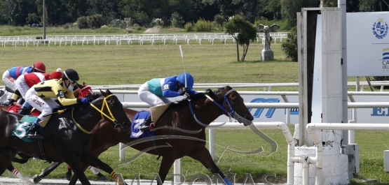 Domingo 6 de marzo de 2022 - Hipódromo Nacional de Maroñas