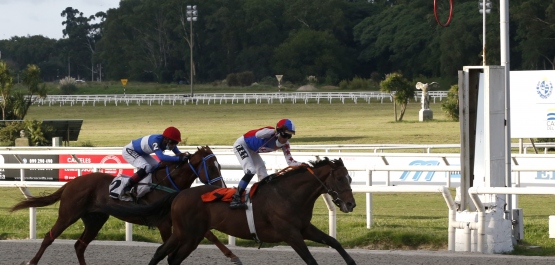 GRAN PREMIO GENERAL ARTIGAS