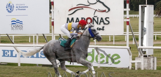 Sábado 5 de marzo de 2022 - Hipódromo Nacional de Maroñas