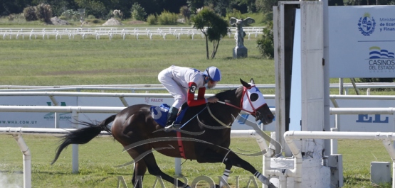 Domingo 20 de marzo de 2022 - Hipódromo Nacional de Maroñas