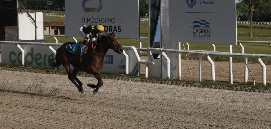 GRAN PREMIO ESTÍMULO