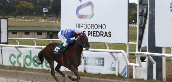 GRAN PREMIO UBALDO SERÉ