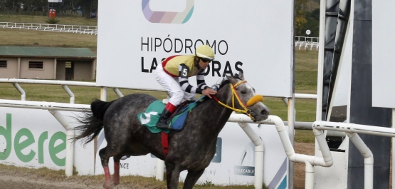 GRAN PREMIO OSAF